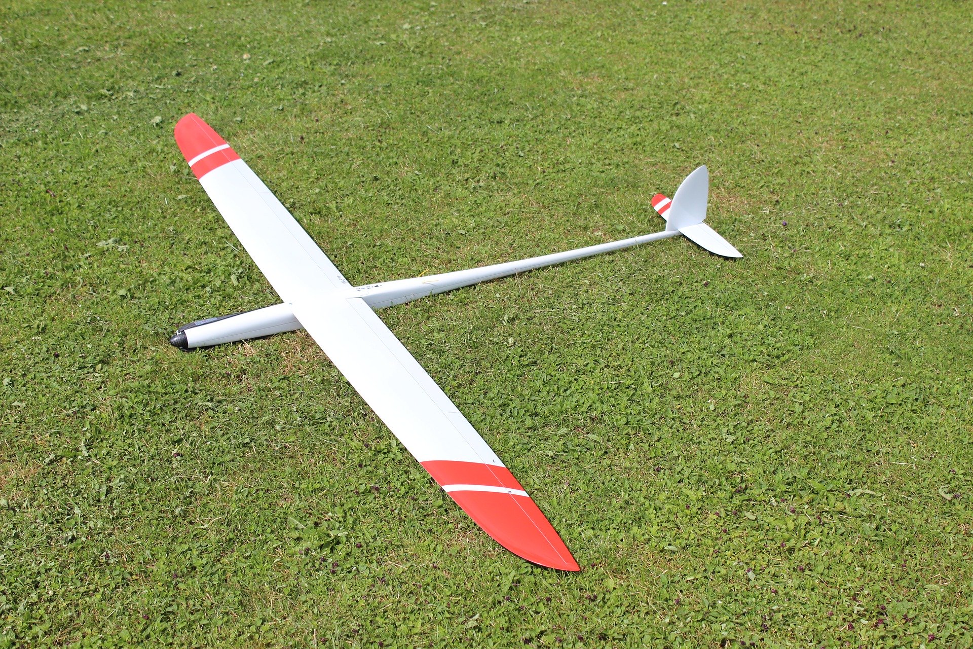 f5b-3688084_1920(1)
