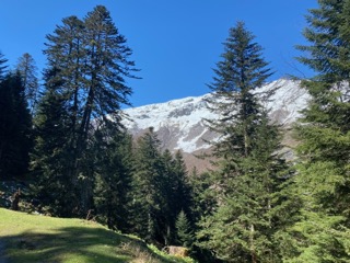 IMG_18601